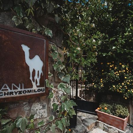 Hani Chrysomilou 卡洛帕尼亚伊奥蒂斯 外观 照片